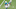 MIAMI GARDENS, FLORIDA – DECEMBER 20: Miami Dolphins QB Tua Tagovailoa  (Photo by Mark Brown/Getty Images)
