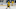 vancouver canucks vancouver canucks