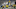 Aaron Rodgers, Green Bay Packers Aaron Rodgers, Green Bay Packers