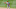Didi Gregorius, Philadelphia Phillies Didi Gregorius, Philadelphia Phillies