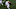 D’Eriq King, Miami Hurricanes (Photo by Andy Lyons/Getty Images) D’Eriq King, Miami Hurricanes (Photo by Andy Lyons/Getty Images)