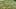 Screen Shot 2016-08-23 at 5.18.15 PM Screen Shot 2016-08-23 at 5.18.15 PM