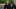 88327-larry-david-meh-gif-Imgur-crin-C8hW 88327-larry-david-meh-gif-Imgur-crin-C8hW