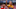 Chivas Tigres survive Chivas Tigres survive