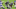 Dallas Cowboys Dallas Cowboys