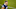 New England Patriots New England Patriots