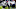 AFC South AFC South