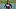 Braves, Braves,