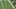 7 7