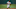 DraftKings DraftKings