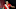 Oriol Romeu of Southampton (Photo by Naomi Baker/,) Oriol Romeu of Southampton (Photo by Naomi Baker/,)