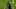 Everton Everton