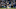 Notre Dame Fighting Irish Notre Dame Fighting Irish