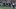 gronkTD gronkTD