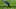 Cowboys Odell Beckham Jr. Cowboys Odell Beckham Jr.