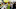 Aug 5, 2016; Rio de Janeiro, Brazil; Shoppers look for food at a grocery market across the street from Olympic Park on the day of opening ceremonies for the Rio 2016 Summer Olympic Games. Mandatory Credit: Matt Kryger-USA TODAY Sports Aug 5, 2016; Rio de Janeiro, Brazil; Shoppers look for food at a grocery market across the street from Olympic Park on the day of opening ceremonies for the Rio 2016 Summer Olympic Games. Mandatory Credit: Matt Kryger-USA TODAY Sports