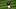 Seattle Mariners
