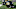 COLUMBIA, MO – OCTOBER 29: Two Missouri Tigers football helmets rest on the turf during the first half of a NCAA football game against the Kentucky Wildcats on October 29, 2016, at Memorial Stadium in Columbia Missouri. (Photo by Scott Kane/Icon Sportswire via Getty Images) COLUMBIA, MO – OCTOBER 29: Two Missouri Tigers football helmets rest on the turf during the first half of a NCAA football game against the Kentucky Wildcats on October 29, 2016, at Memorial Stadium in Columbia Missouri. (Photo by Scott Kane/Icon Sportswire via Getty Images)