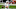 Chicago Bears, Philip Rivers Chicago Bears, Philip Rivers