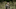 Ross Marquand as Aaron – The Walking Dead _ Season 11, Episode 16 – Photo Credit: Jace Downs/AMC