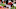 LINCOLN, NE – SEPTEMBER 16: Wide receiver Stanley Morgan Jr. LINCOLN, NE – SEPTEMBER 16: Wide receiver Stanley Morgan Jr.