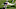 Notre Dame football Harrison Smith Notre Dame football Harrison Smith
