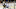 Toronto Maple Leafs Toronto Maple Leafs