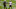 Jordan Whitehead Jordan Whitehead