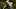 Tyrrell Hatton WGC HSBC Champions Tyrrell Hatton WGC HSBC Champions