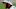 Chicago Bears, Odell Beckham Jr. Chicago Bears, Odell Beckham Jr.
