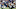 NFL