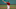 Boston Red Sox Boston Red Sox