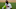 MLB Free Agency, Marcell Ozuna MLB Free Agency, Marcell Ozuna