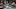 Oakland Athletics Oakland Athletics