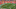screen-shot-2016-10-11-at-6-11-59-pm screen-shot-2016-10-11-at-6-11-59-pm