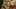 mgsv_mgo_tga_11_web
