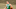 Payton Pritchard, Boston Celtics Payton Pritchard, Boston Celtics
