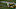 DraftKings DraftKings
