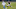 Chicago Bears, Cole Kmet Chicago Bears, Cole Kmet