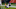 Chicago Bears, Allen Robinson Chicago Bears, Allen Robinson