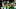 Boston Celtics (Photo by Gregory Shamus/Getty Images) Boston Celtics (Photo by Gregory Shamus/Getty Images)