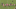 ware-1-gif ware-1-gif