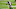 Kenny Stills, Patriots Kenny Stills, Patriots