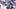 ORCHARD PARK, NY – AUGUST 10: Dalvin Cook ORCHARD PARK, NY – AUGUST 10: Dalvin Cook