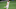 ATLANTA, GA – SEPTEMBER 19: Leandro González Pírez #26 of Inter Miami controls the ball during the first half of a game against the Atlanta United Mercedes-Benz Stadium on September 19, 2020, in Atlanta, Georgia. (Photo by Carmen Mandato/Getty Images)
