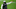 Brian Flores, Miami Dolphins, Patriots