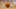 Detroit Pistons