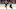 david pastrnak bruins david pastrnak bruins