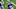 Buffalo Bills Buffalo Bills