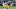 Notre Dame football Notre Dame football